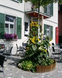 Bild Eingang zum Hirschen mit Sonnenblumen