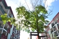 files/Inhalte extern/Newsletter/2014-03/Innenhof Giesserei Kurt Lampart.JPG