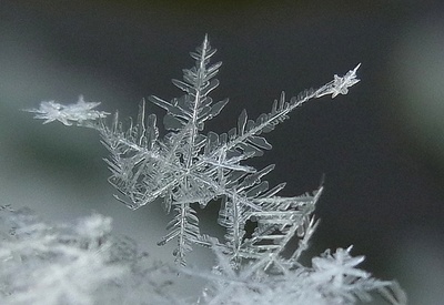 files/Inhalte extern/Newsletter/2014-09/637654_web_R_by_Jetti Kuhlemann_pixelio.de.jpg