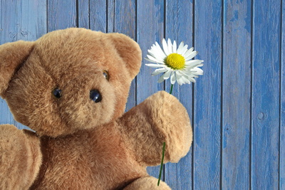 files/Inhalte extern/Newsletter/2015-03/720788_web_R_B_by_Rosel Eckstein_pixelio.de.jpg