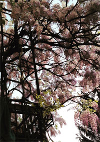 files/Inhalte extern/Newsletter/2015-05/Neues Bild.jpg