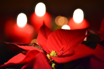 files/Inhalte extern/Newsletter/2015-11/715805_web_R_by_Andreas Hermsdorf_pixelio.de.jpg