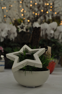 files/Inhalte extern/Newsletter/2015-11/DSC_0197_be nl.jpg